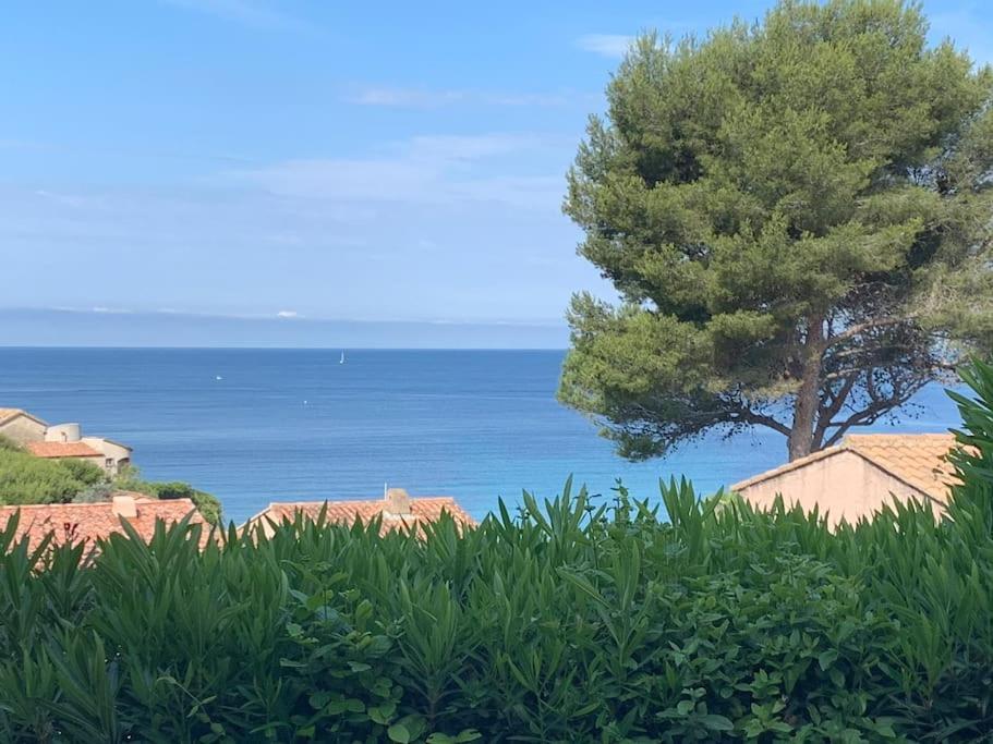 Sanary Charmant Appartement Bord De Mer Екстериор снимка
